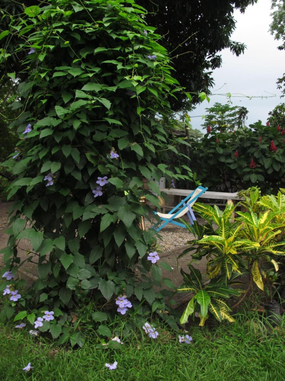Waka Hotel Rural Honda (Tolima) Exterior foto