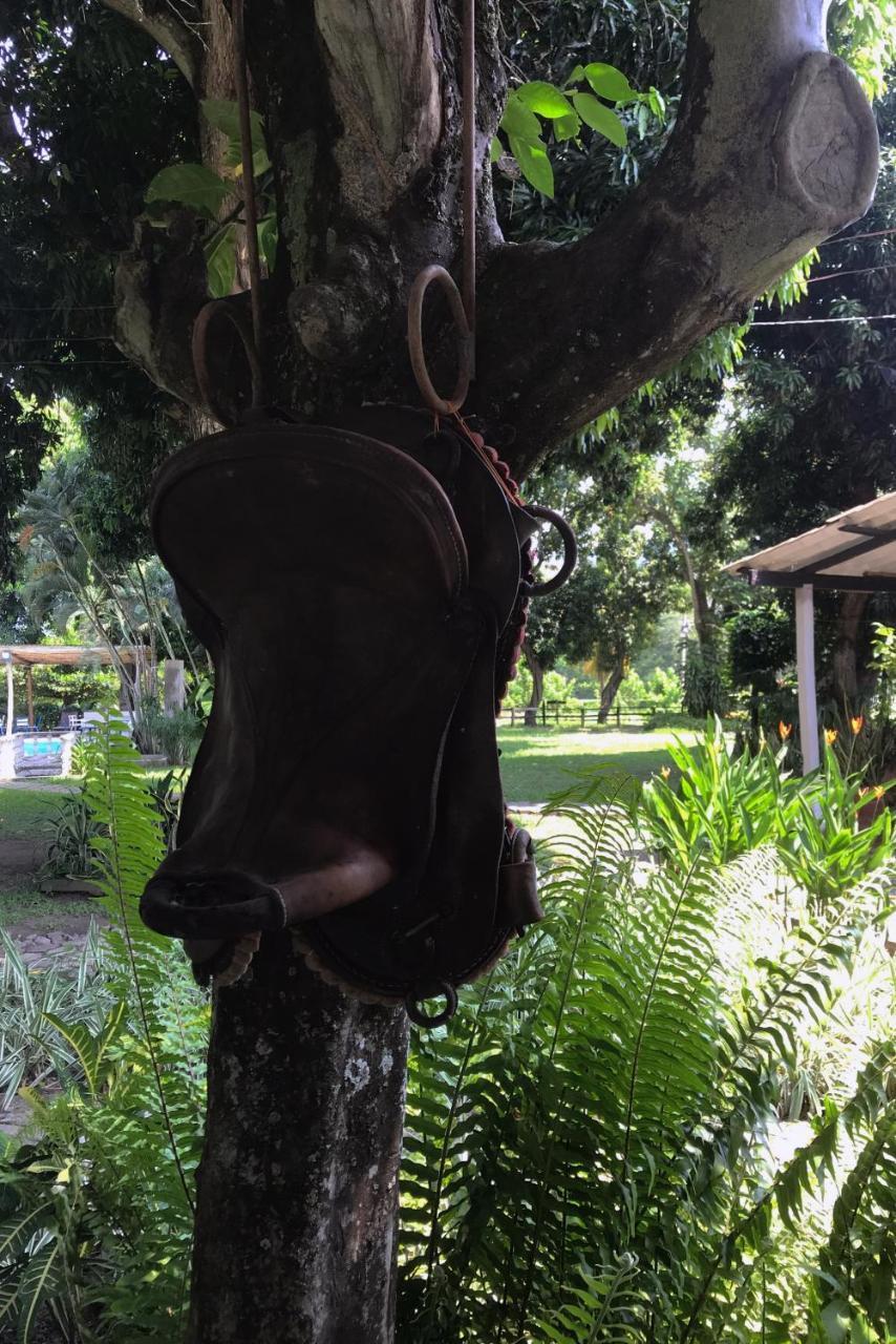 Waka Hotel Rural Honda (Tolima) Exterior foto